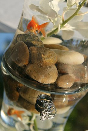 Peces en tu boda pecera_6_290x433 