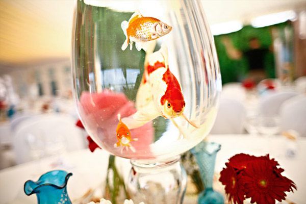 Peces en tu boda pecera_7_600x400 