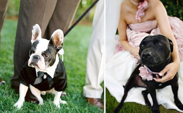 Tu mascota, el primer invitado a tu boda mascota_11_600x372 