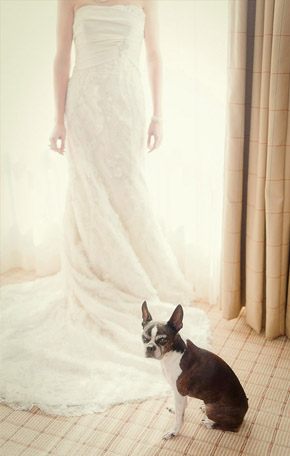 Tu mascota, el primer invitado a tu boda mascota_6_290x456 