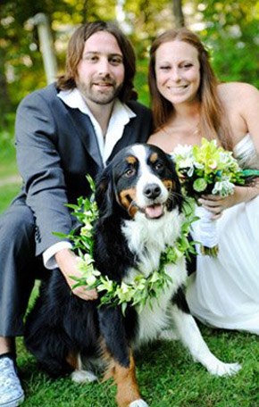 Tu mascota, el primer invitado a tu boda mascota_8_290x4561 