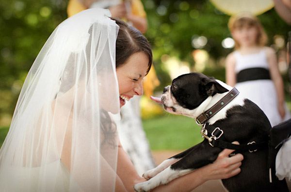 Tu mascota, el primer invitado a tu boda mascota_9_600x397 