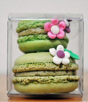 Macarons, un regalo muy chic macarons_6_290x337 