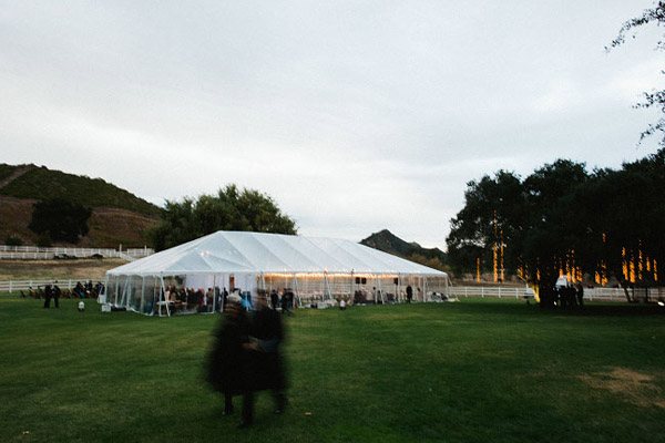 Carpa transparente: sí o sí carpa_transpa_4_600x400 