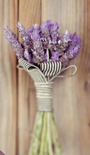 Bouquets de lavanda lavanda_11_290x500 