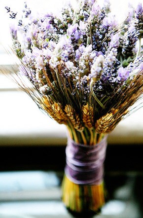 Bouquets de lavanda lavanda_3_290x442 