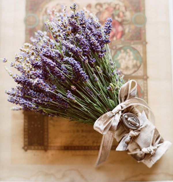 Bouquets de lavanda lavanda_5_600x632 