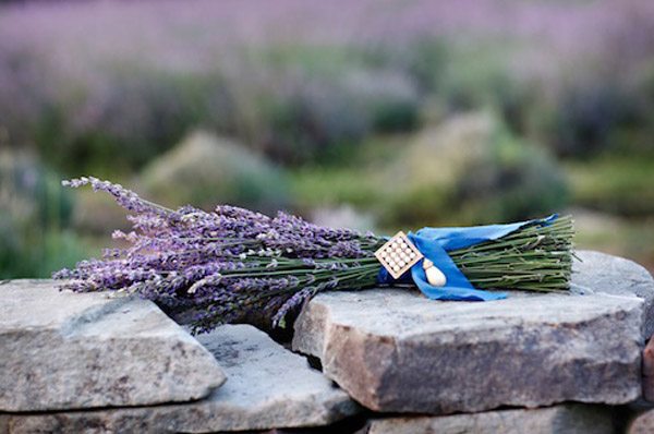 Bouquets de lavanda lavanda_6_600x398 