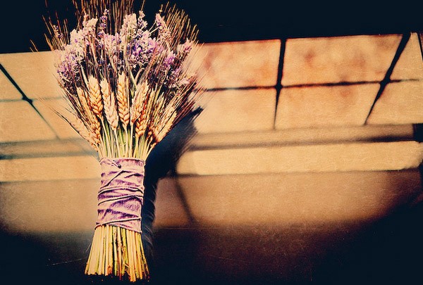 Bouquets de lavanda lavanda_7_600x405 