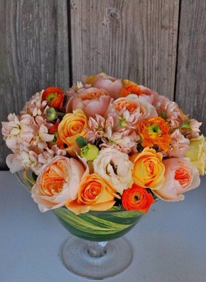 La flor que Romeo regaló a Julieta juliet_roses_2_290x396 