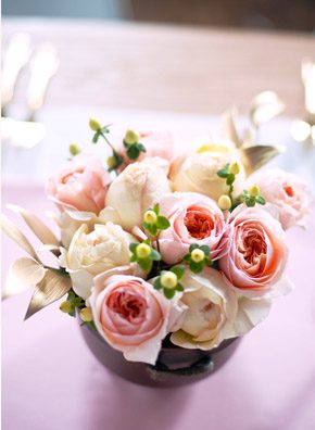 La flor que Romeo regaló a Julieta juliet_roses_3_290x396 