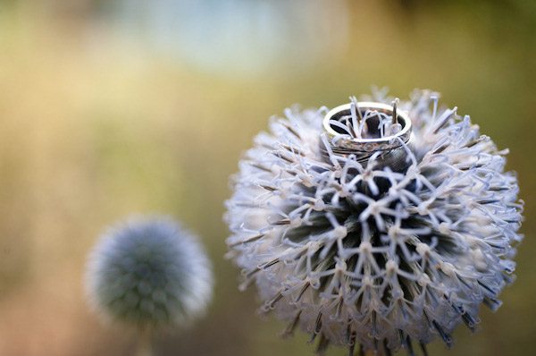 FOTOS DE ALIANZAS DE BODA anillos_3_600x398 