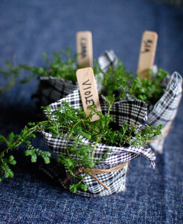 Diy: plantitas personalizadas plantitas_1_600x732 