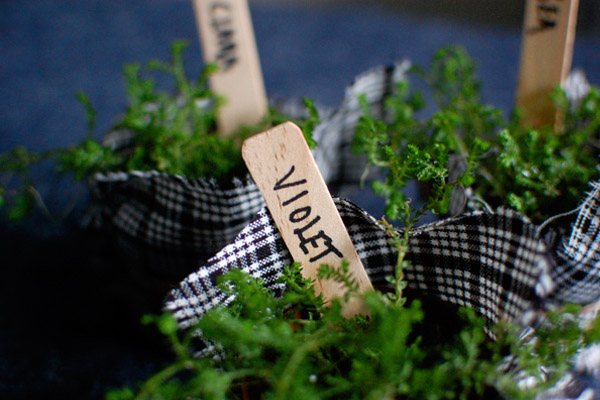 Diy: plantitas personalizadas plantitas_5_600x400 