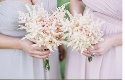 INSPIRACIÓN ASTILBE astilbe-boda 