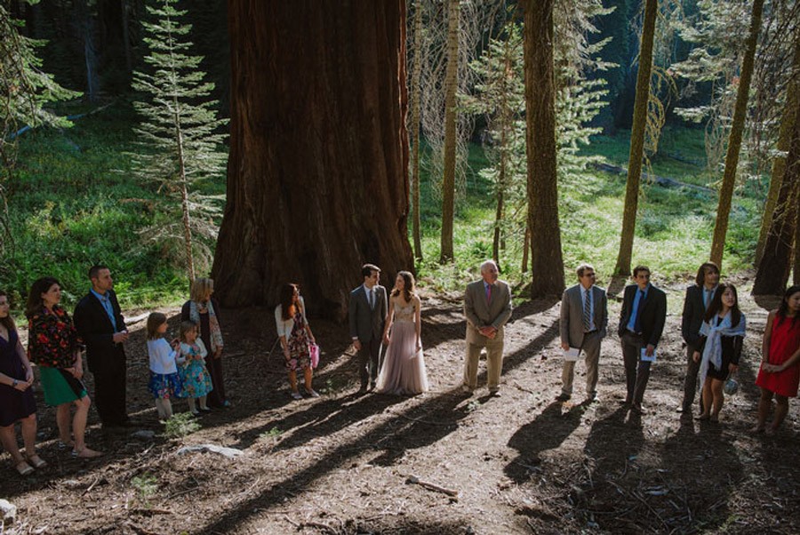 JULIA & JEFFREY: UNA SENCILLA BODA EN EL BOSQUE bodas-naturales 