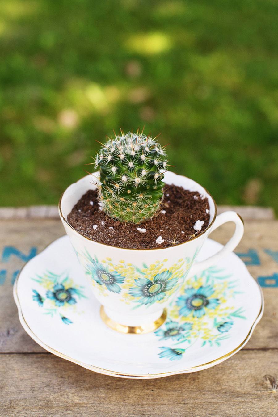 DIY MINI CACTUS EN TAZAS DE TÉ boda-cactus-diy 