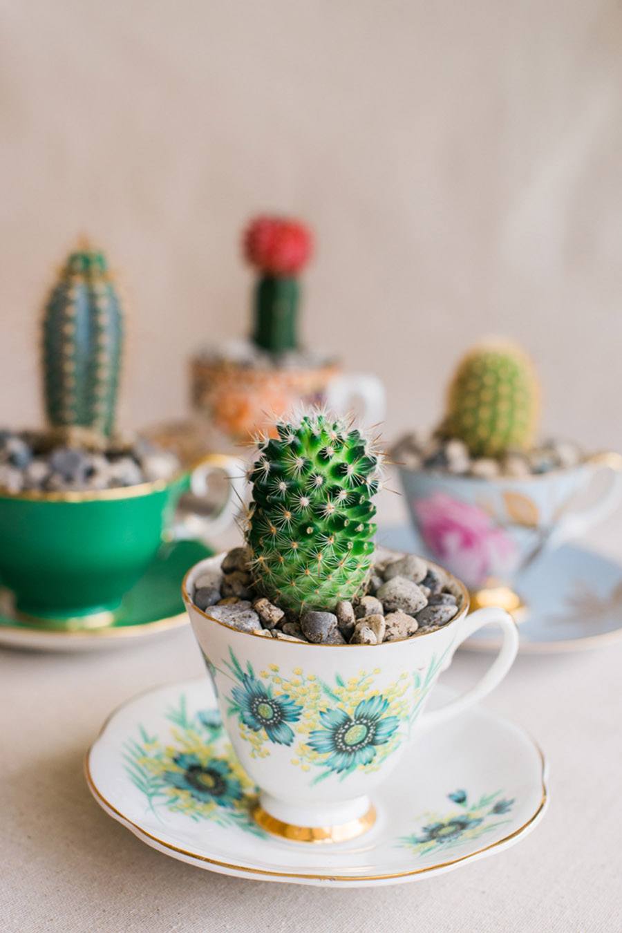 DIY MINI CACTUS EN TAZAS DE TÉ diy-boda-cactus 