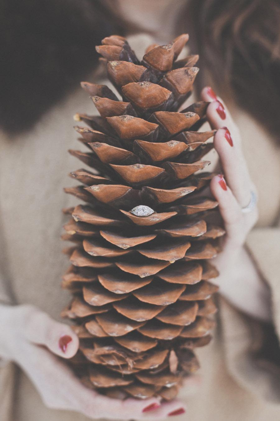 UNA BODA EN NAVIDAD invierno-bodas 