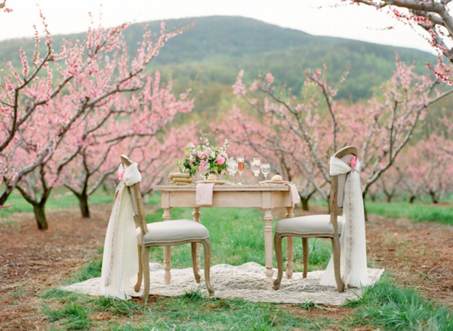 DECORACIÓN CON FLOR DE CEREZO boda-cerezo 