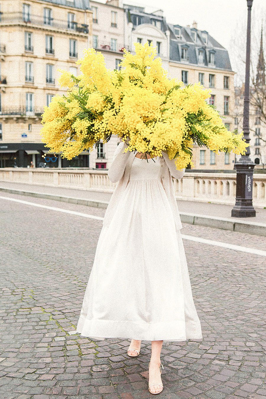 RAMOS DE NOVIA DE MIMOSAS mimosas-novia 