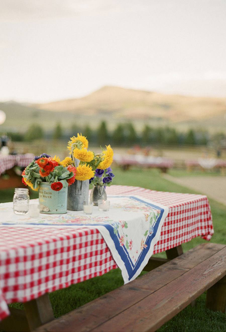 MANTELES DE CUADROS PARA UNA BODA PICNIC boda-picnic-mantel 