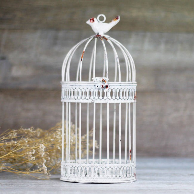 Jaulas Decoracion Comprar ~ Comprar jaula blanca envejecida decorativa Jaulas Decoracion Comprar ~ Comprar jaula blanca envejecida decorativa