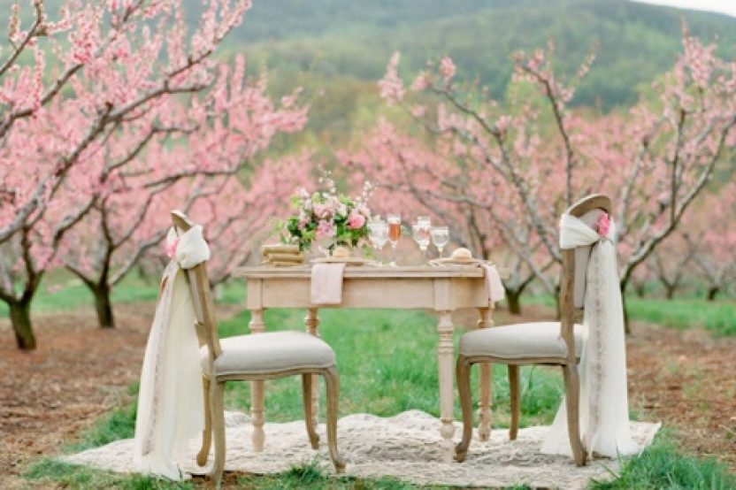 DECORACIÓN CON FLOR DE CEREZO