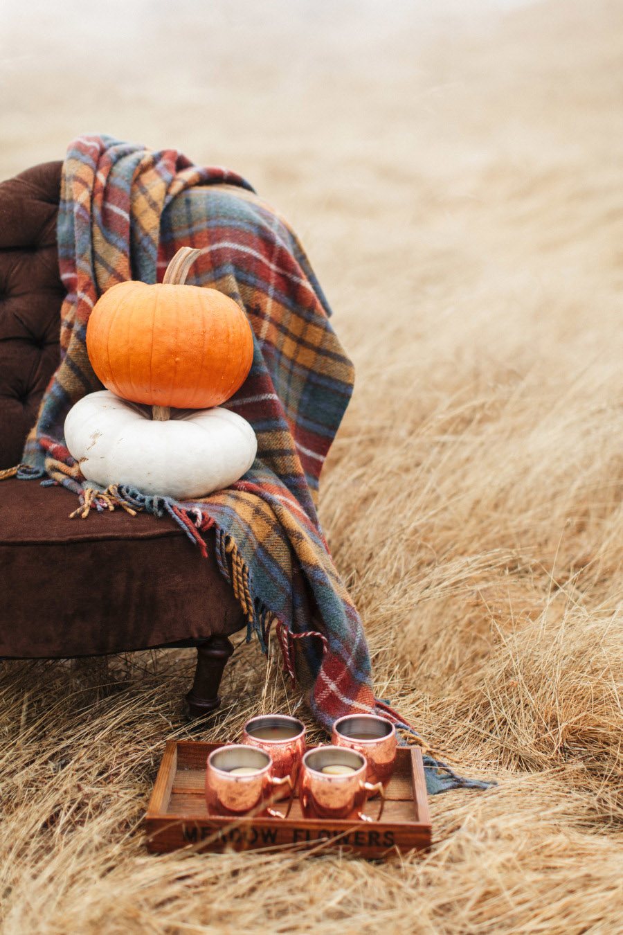 PICNIC DE OTOÑO picnic-boda 