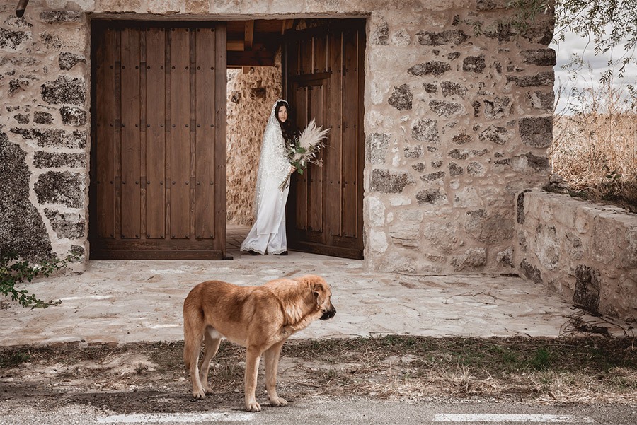 CAMPOS DE CASTILLA helena-mareque-editorial-novias 