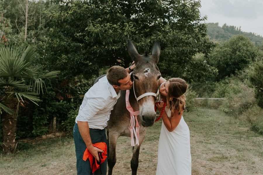 ELISABET, ALBERT Y SU DIVERTIDA BODA DE FIESTA MAYOR burro-boda 