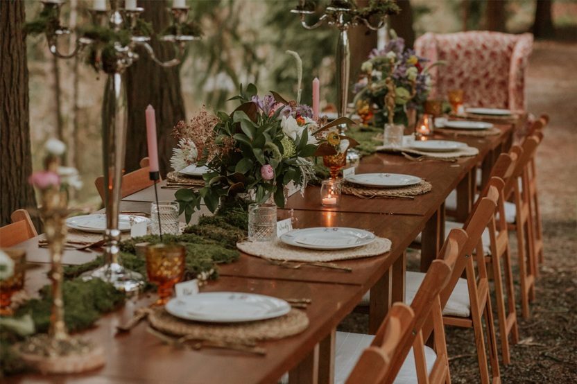 BODA MÁGICA EN EL BOSQUE