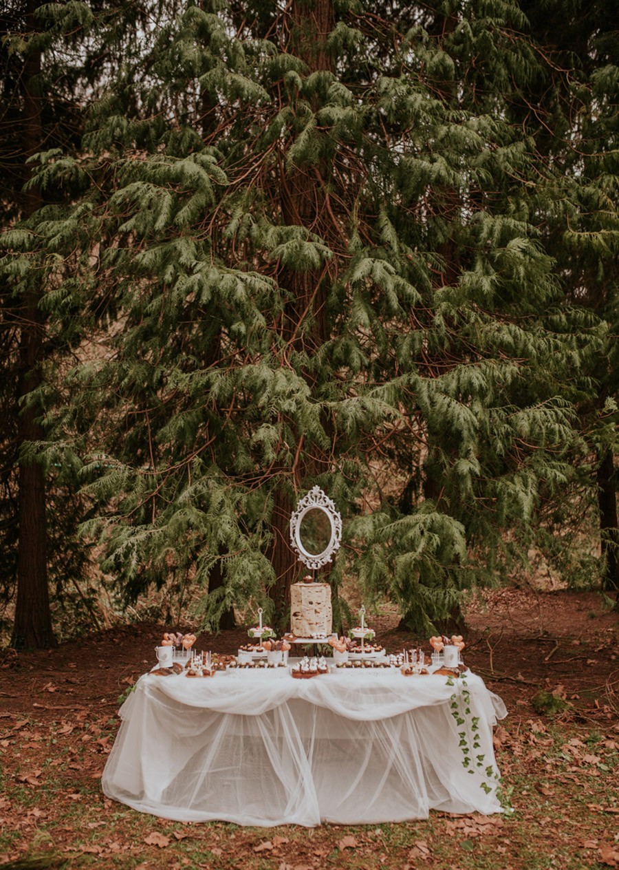 BODA MÁGICA EN EL BOSQUE bosque1 