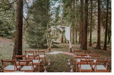 BODA MÁGICA EN EL BOSQUE el-bosque-encantado 