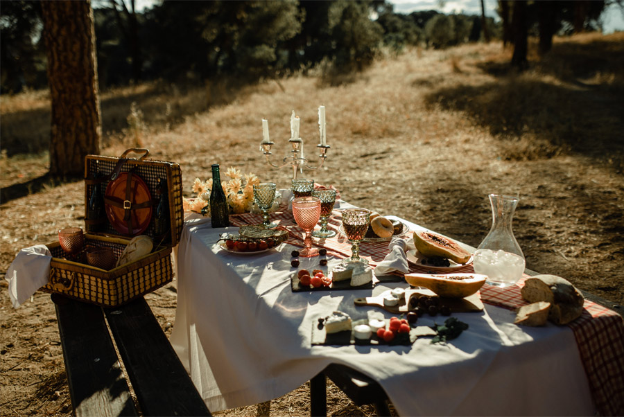 APUESTA POR UNA BODA PICNIC picnic-de-boda 