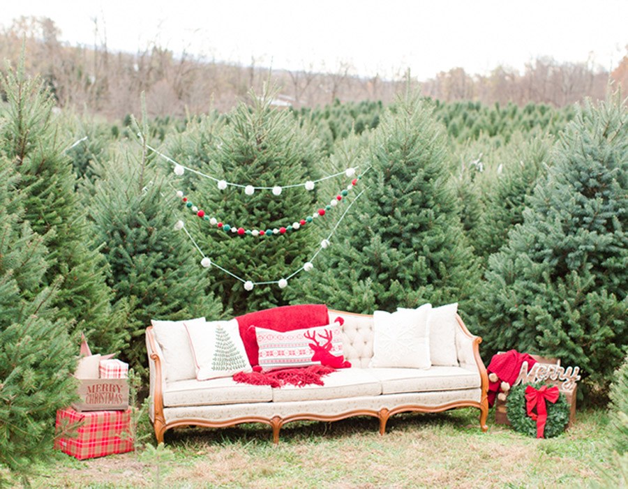 IDEAS DE PHOTOBOOTH PARA UNA BODA EN NAVIDAD photocall-boda-invierno 