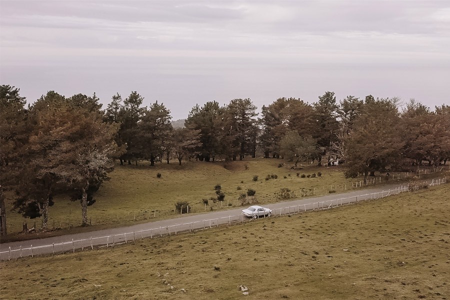 UNA BODA ÍNTIMA EN EL MONTE VASCO coche-boda 