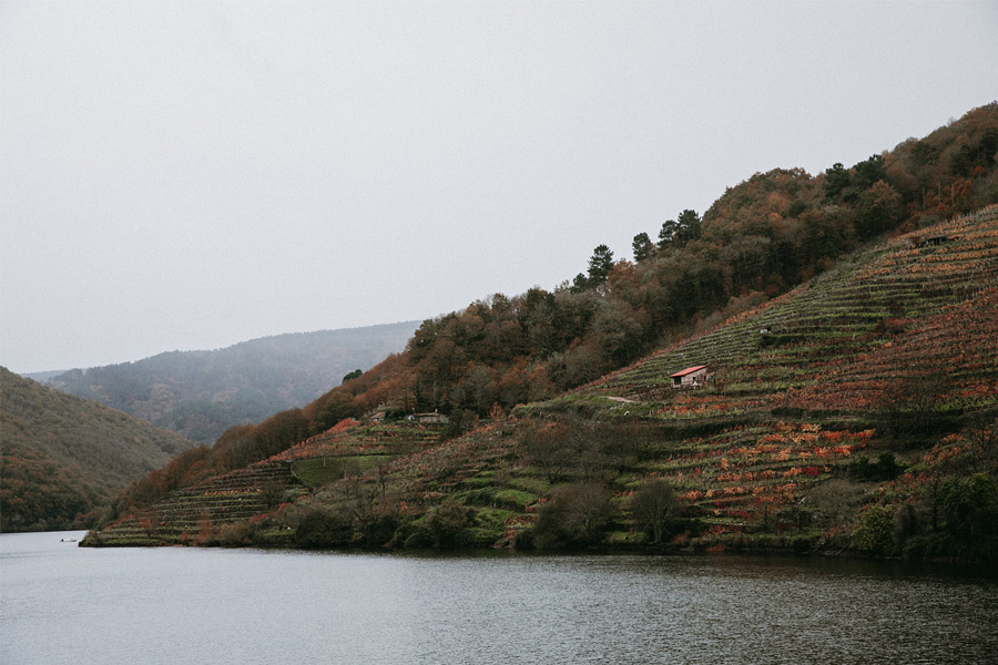 O NOSO CAMIÑO galicia 