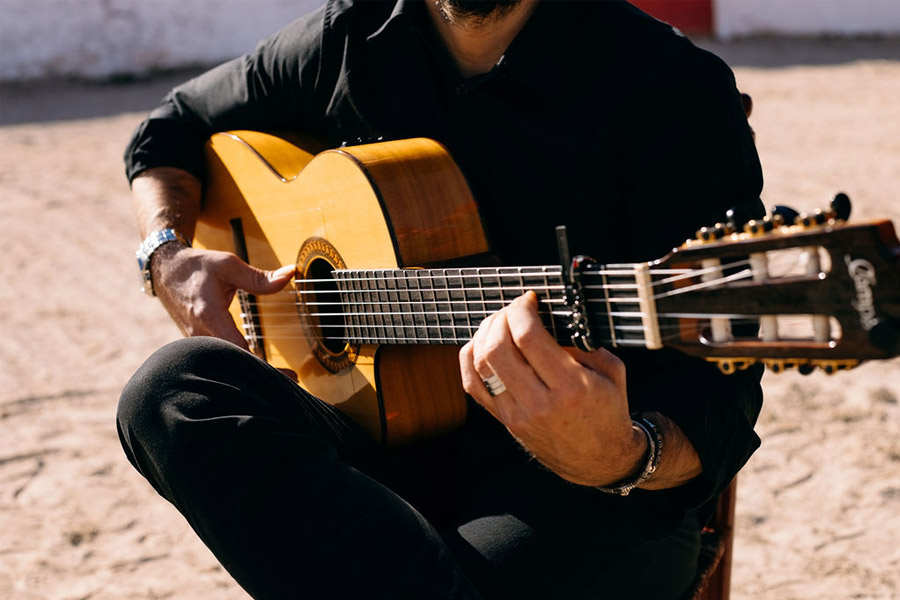 PODERÍO, EL ARTE DE UNA BODA EN EL SUR musica-boda 