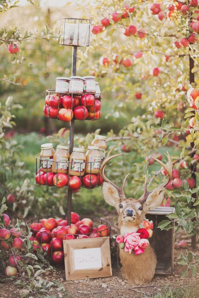 DECORA TU BODA CON MANZANAS inspo-boda-manzanas-683x1024 