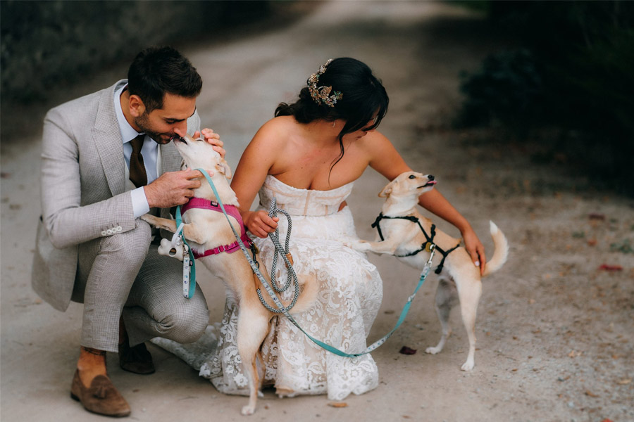 MEDITERRANEAN WEDDING mascotas-boda 