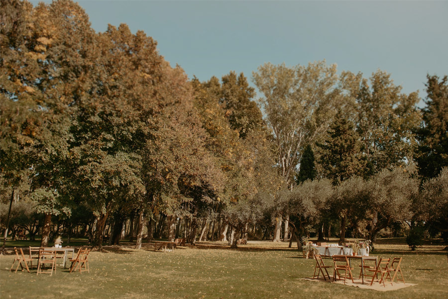 MIREIA & BORJA: LA MÚSICA DEL AMOR boda-aperitivo 