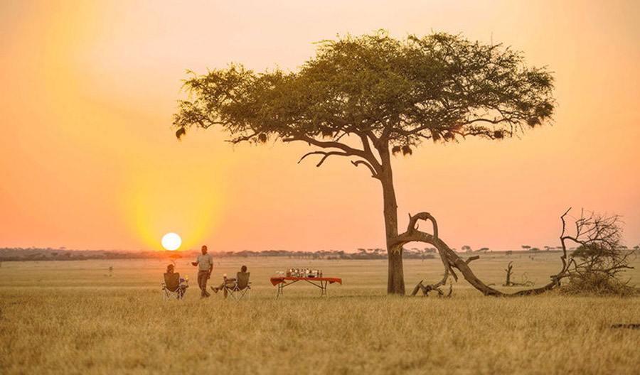 CONSEJOS PARA TU LUNA DE MIEL EN TANZANIA: VISADO, QUÉ VISITAR, SAFARIS viaje-tanzania 