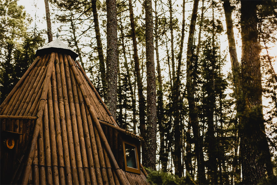 UN MÁGICO DÍA DE INVIERNO cabana 