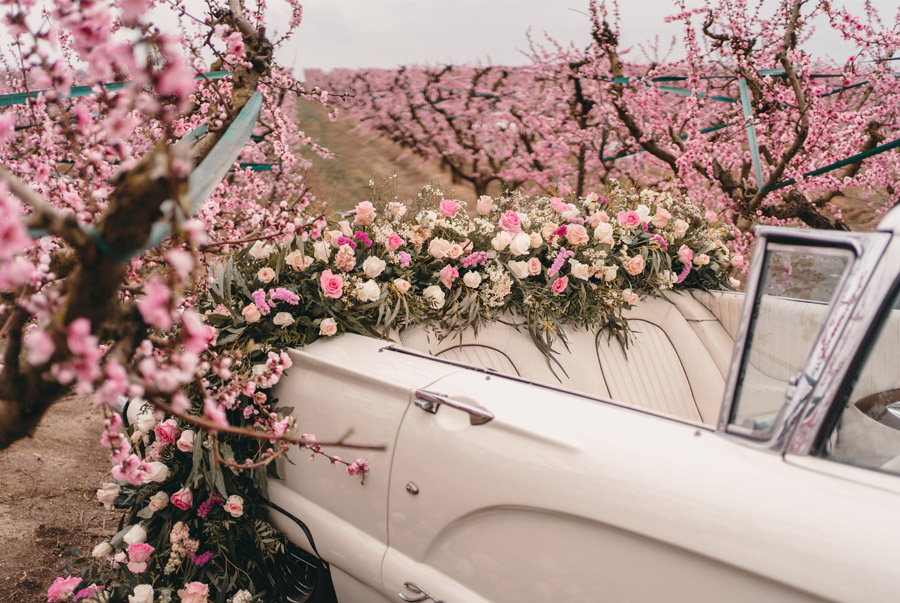 ATREVIDA PRIMAVERA deco-coche-novios 