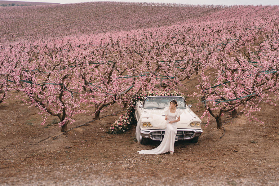 ATREVIDA PRIMAVERA reportaje-boda-primavera 