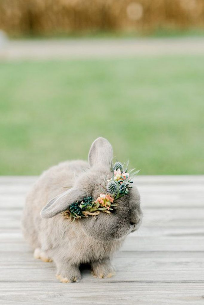 UN CONEJITO DE PASCUA EN TU BODA boda-conejito-683x1024 