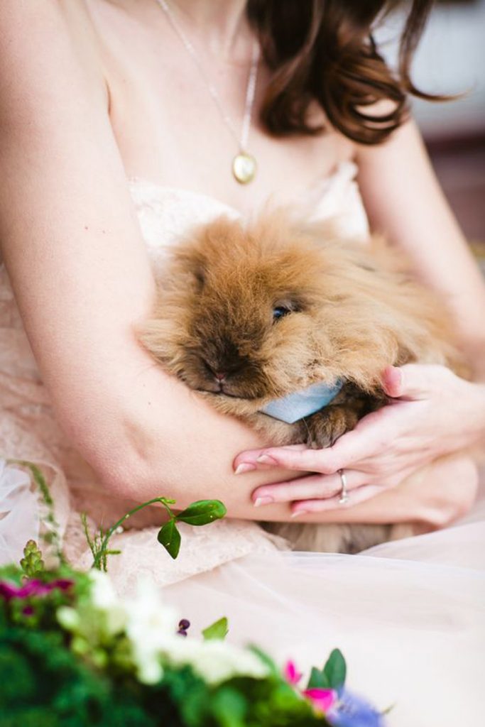 UN CONEJITO DE PASCUA EN TU BODA boda-en-pascua-683x1024 