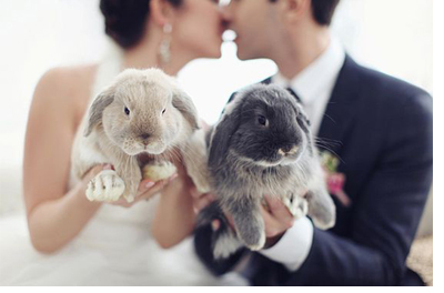 UN CONEJITO DE PASCUA EN TU BODA boda-pascua-conejito 