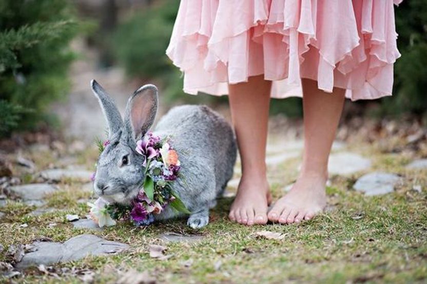 UN CONEJITO DE PASCUA EN TU BODA